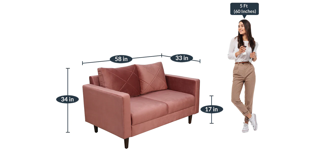 bonito-2-seater-sofa-in-blush-colour---casacraft-by-pepperfry-bonito-2-seater-sofa-in-blush-colour---akgeop